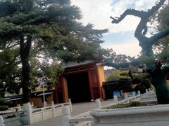 -上海东林寺(金山区)