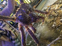 -蟹之国·精品蟹料理(极地店)