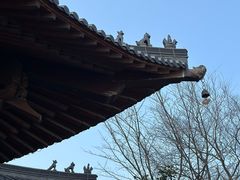 -杭州半山国家森林公园