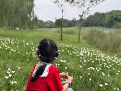 -白鹭湾湿地公园