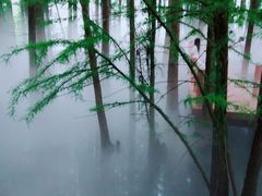 -东湖落雁景区