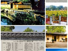 -江西阳明山国家森林公园