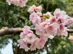 -静安雕塑公园