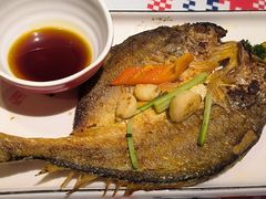 香煎大黄鱼-蚝魁·海鲜大排档·啫啫·生蚝(体育西店)