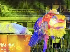 -沈阳奥体冰雪嘉年华