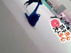 -TheRink大零溜冰场(IFS国金中心店)