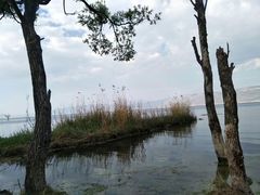 -大理洱海