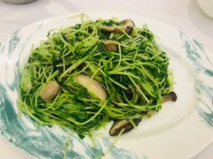 -翠园(铜锣湾广场店)