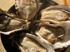 -蚝堡·生蚝海鲜烧烤物种起源•海肠捞饭(刘公岛店)