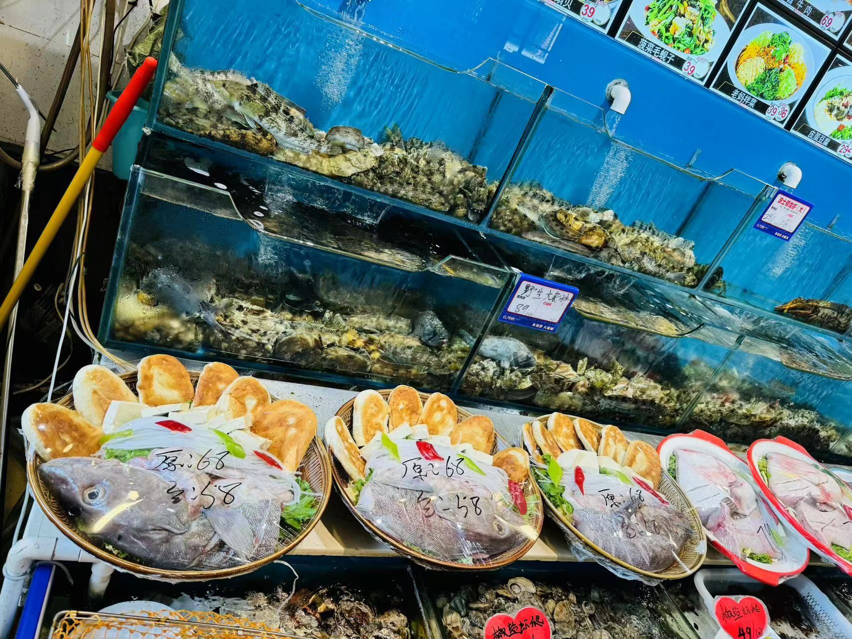 大连海鲜名店日月明