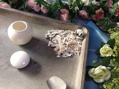 -彩虹桥宠物火化殡葬善终服务(金乐大厦店)