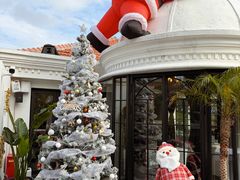 -弦月窗LUNETTE BY AMANDA(复兴路店)