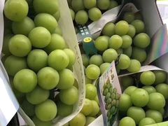-PAGODA百果园(外贸路店)