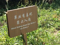 -白草畔自然风景区