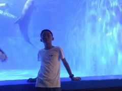 景点-多彩贵州城极地海洋世界