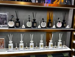 -香遇沙龙香水·调香·团建