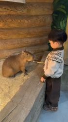 点击看大图 -Zoolung Zoolung动物主题公园(海信广场店)