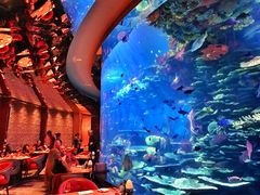 -迪拜帆船酒店海底餐厅