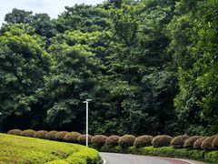 -桃花岭景区