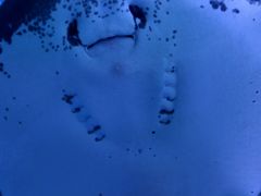 -泉城欧乐堡海洋极地世界
