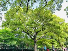 -上海市龙华烈士陵园