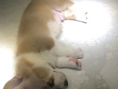 -乐宠宠物店(世纪金源店)