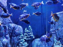 -成都浩海立方海洋公园