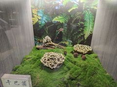 -七采菌园·野生菌石锅鱼(环城北路店)