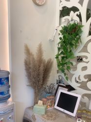 -妍理·植物养发