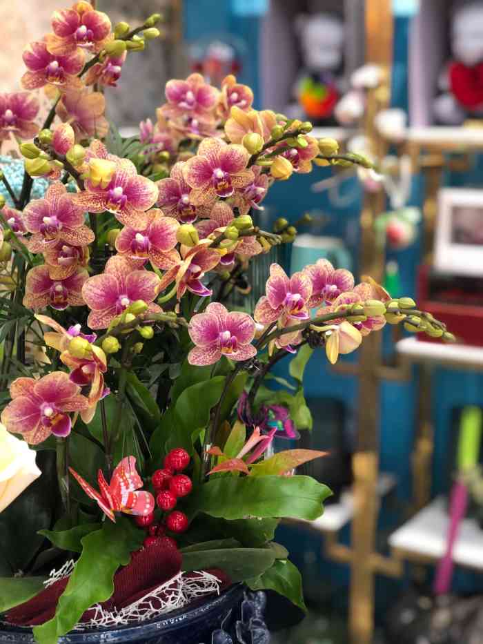 一米花坊吾悦国际广场店