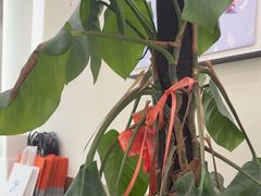-HIMO海马体照相馆(上海华润CP静安店)