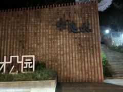 -银湖山郊野公园-相思林
