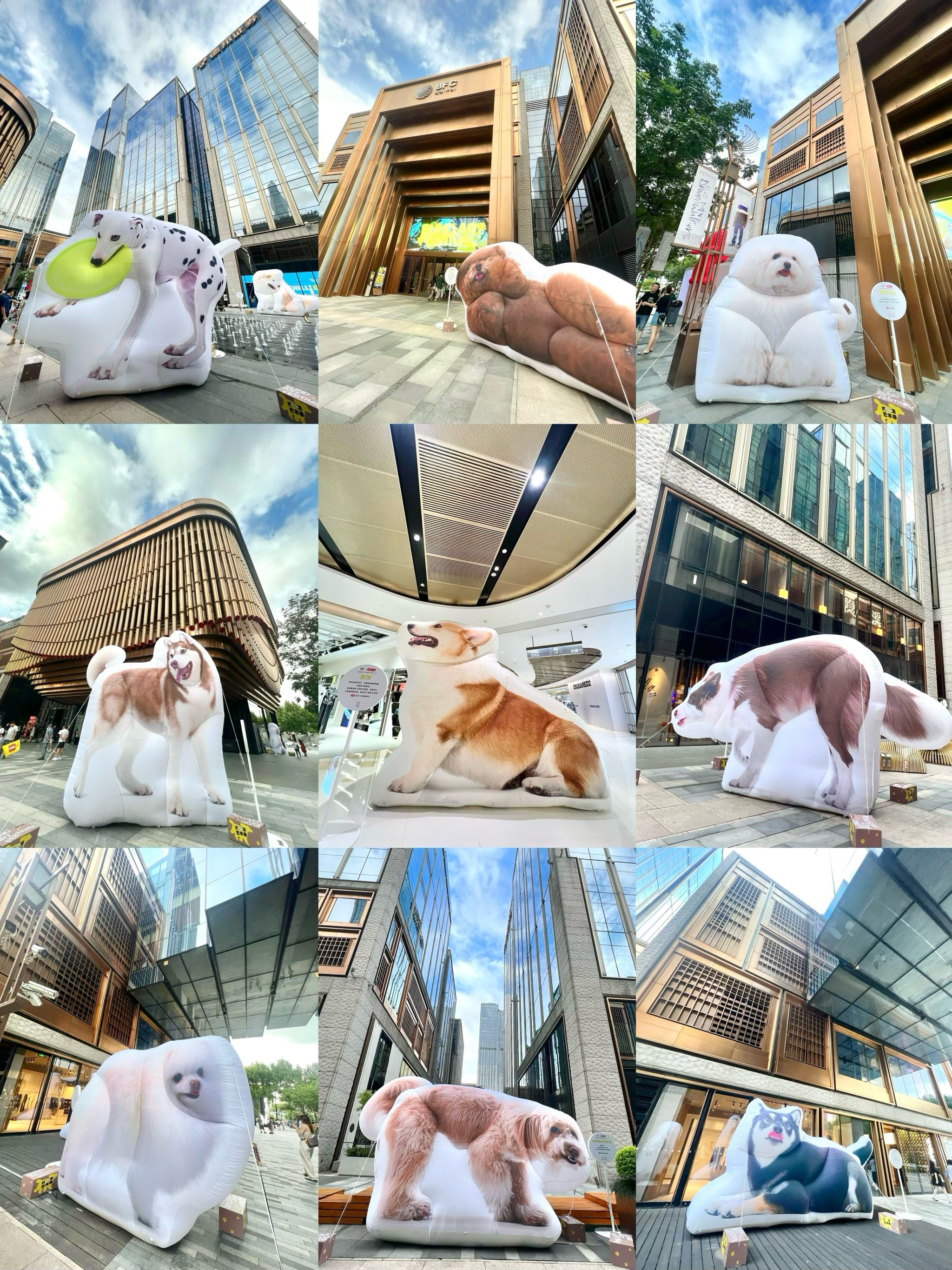 宠物友好商场 #外滩 #商场里隐藏的网红打卡地 #宠物友好市集 #@上海