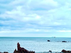 -海合安青岛极地海洋公园