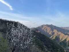 -居庸关长城