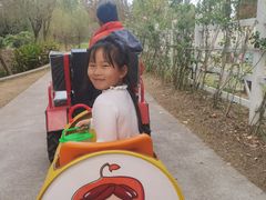 -前小桔亲子创意农场·草莓采摘·露营烧烤