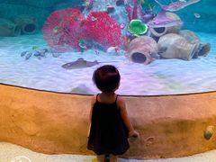 -沈阳海洋探索中心