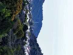 -树山生态村