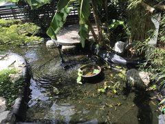 -川流不息(北蔡休闲广场店)