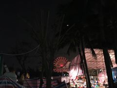 -万绿园