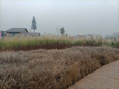 -中国天府农业博览园