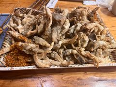 -小俩口烧烤东北菜(双井店)