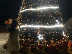 -海南清水湾莱佛士酒店