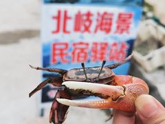 -北岐滩涂