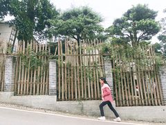 -南山植物园