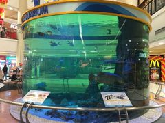 -尚泰清迈机场购物中心