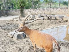 -苏州上方山国家森林公园