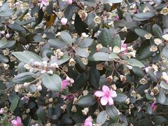 -华南国家植物园-售票处