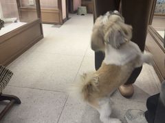 -FAELING PETS美天灵宠物(富力广场店)