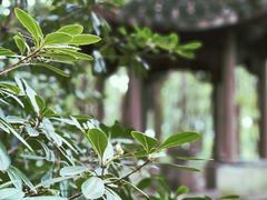 -虎丘山风景名胜区